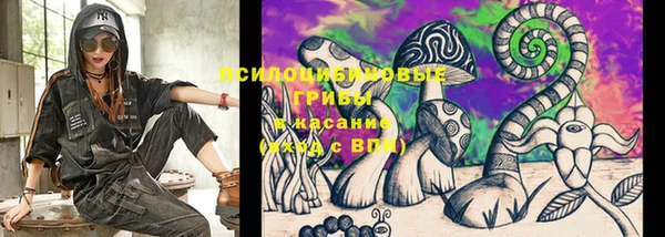 экстази Богородицк