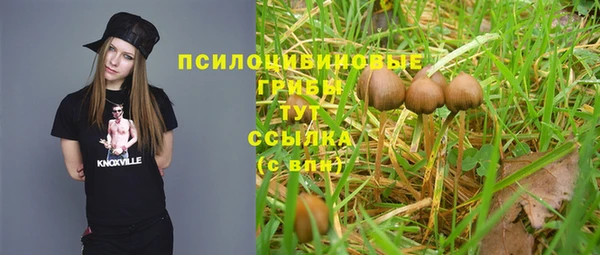 мет Богданович