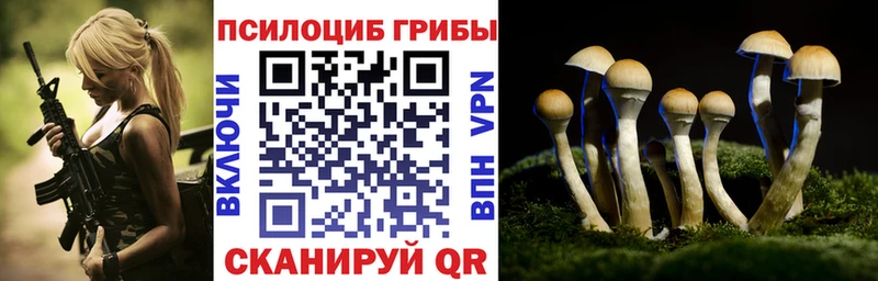 Купить  Тара  Псилоцибиновые грибы ЛСД 